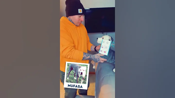 Fiancé Surprised with Stuffed Animal After Dog Passed Away | MyPetsies©