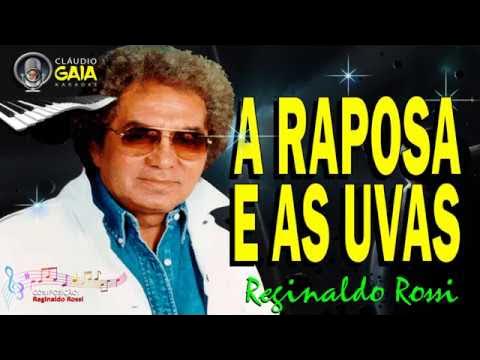 Deslizes 1 (No Estilo de Fagner) [Karaoke Version] - song and lyrics by  Ameritz Karaoke Português