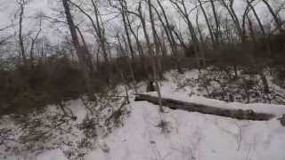 Trailblazing With a Fatbike SALSA BUCKSAW