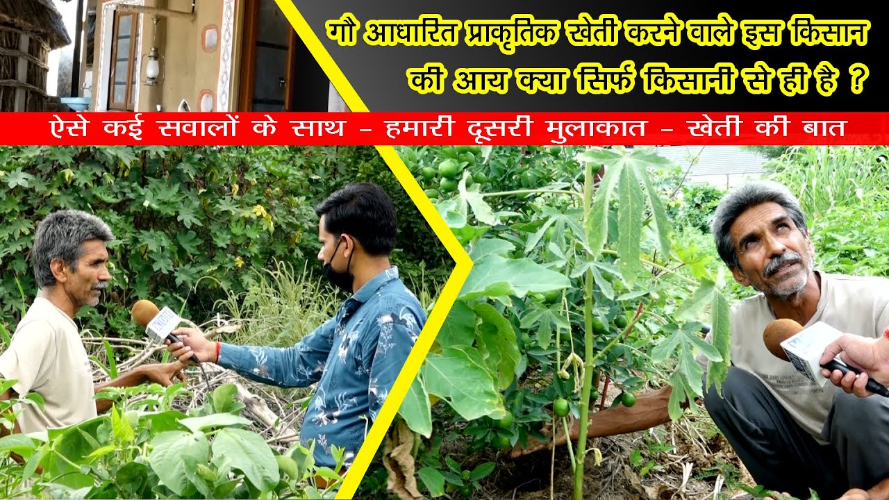 गाय - धरती - खेती - किसान की समृद्धि Kan singh Nirwan खुद कैसे करते है खेती ? Jor ki Dhani / KDH