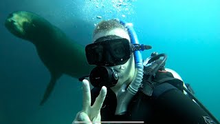 SCUBA diving. Coronado Island, Loreto, Baja California, Mexico. Sea lions, dolphins, moray eels. by Ana Way 194 views 2 months ago 7 minutes, 57 seconds