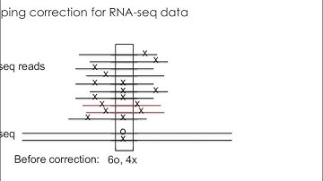 Back to Basics - An Overview of RNA-Seq