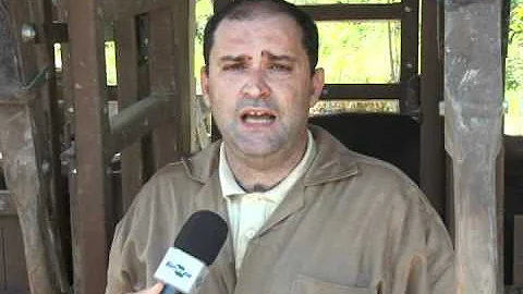 Como é feito o saneamento em uma propriedade com relação a brucelose?