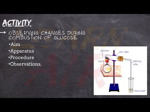 Video: Welke producten worden gevormd tijdens de verbranding van glucose?