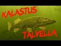 Kalastus talvella