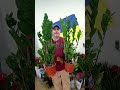 Замиокулькас Замифолия! Цена 750 гривен! Бронь в вайбер 0996782355 #замиокулькас #погородний