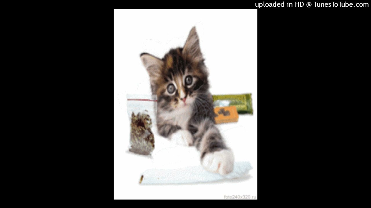 (FREE) Boolymon x Swag x Perc40 type beat - boolysun