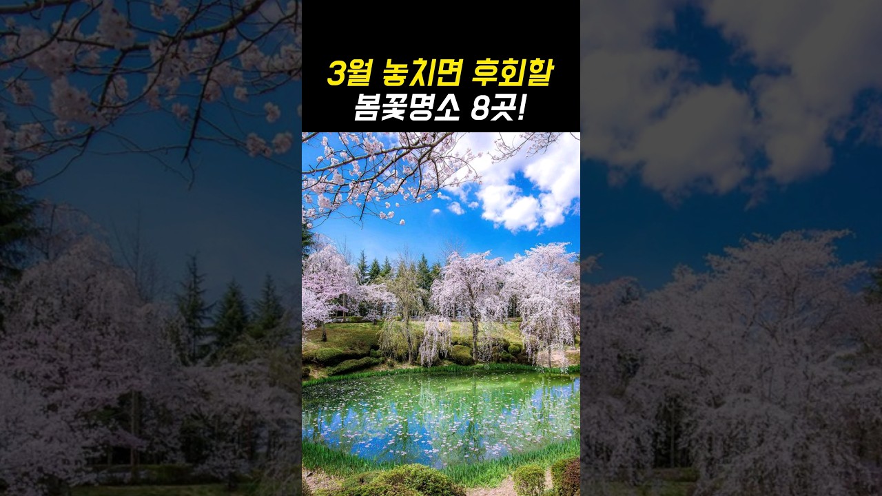 올 봄 놓치면 후회할 3월 여행지 추천 봄꽃명소 TOP8