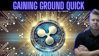 XRP News About Ripple RLUSD Volume