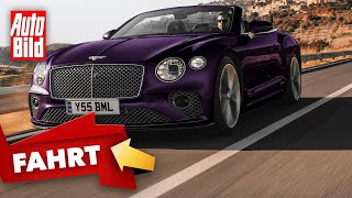 Bentley Continental GT Speed (2021) | So fährt der Power-Continental | Test mit Alexander Bernt 2021 Bentley Continental Gt V8 Oder W12 Im Direkten Vergleich