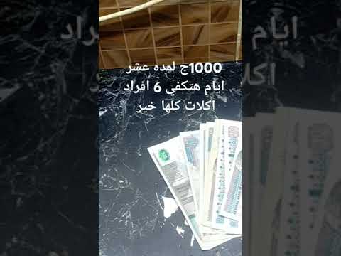 1000ج لمدة عشر ايام هتكفي 6 افراد فراخ ولحمه    7    428