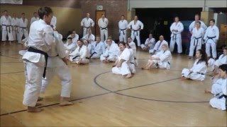 Andre Bertel Karate Seminar - Krefeld, Germany 2015