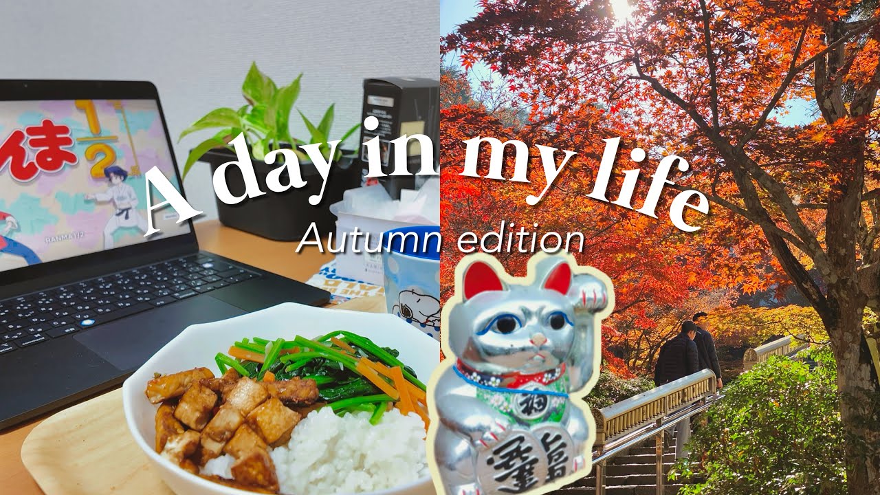 autumn edition 🍁 a day in my life in Japan | hunting maple trees, anime, masak