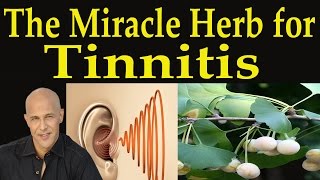 The Miracle Herb for Tinnitus - Dr Mandell