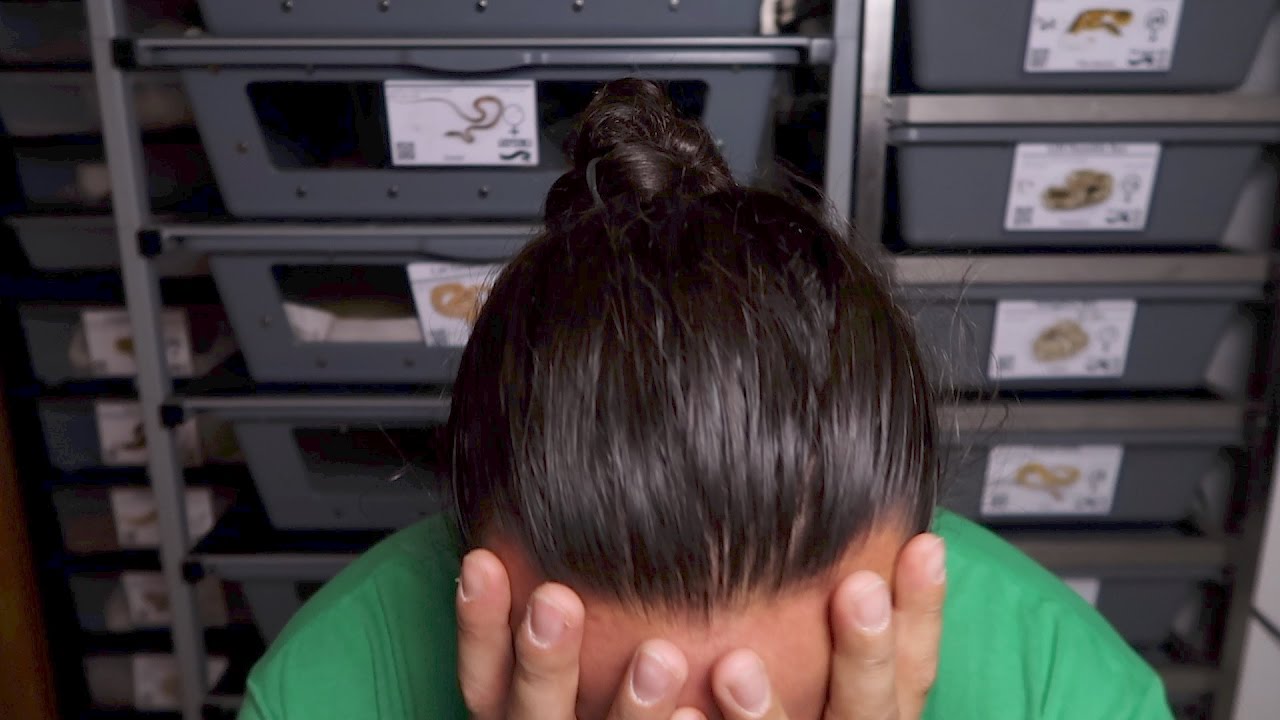 we-lost-the-baby-youtube