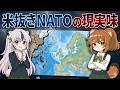 【NATO】アメリカ脱退の危機!?「欧州版NATO」は本当にヨーロッパを守れるのか【ヨーロッパ情勢】