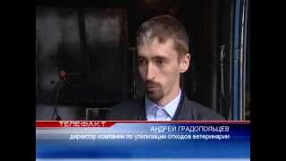 Челябинск крематорий для животных Челябинск крематорий для животных