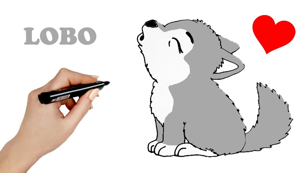 COMO DIBUJAR UN LOBO KAWAII PASO A PASO 💙 Como dibujar un lobo aullando  animales kawaii - thptnganamst.edu.vn