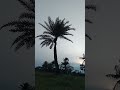 প্রিয় নবীজি বলেন ! মিজানুর রহমান আজহারী নিউ শর্টস ভিডিও সঠিক পথ মোর .....