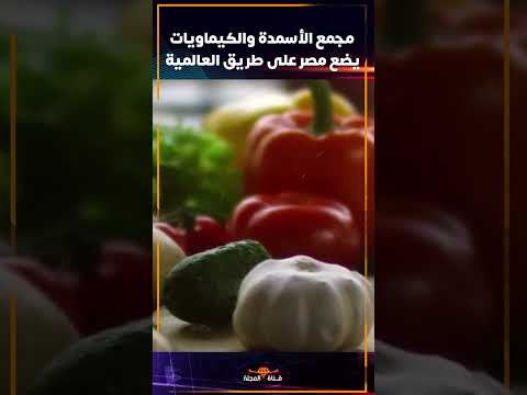 مجمع الأسمدة والكيماويات يضع مصر علي طريق العالمية