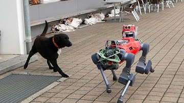 How robots learn to hike