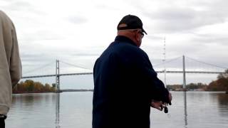 Smartbaits on Wacky Rig with Reno Viola - Part 2