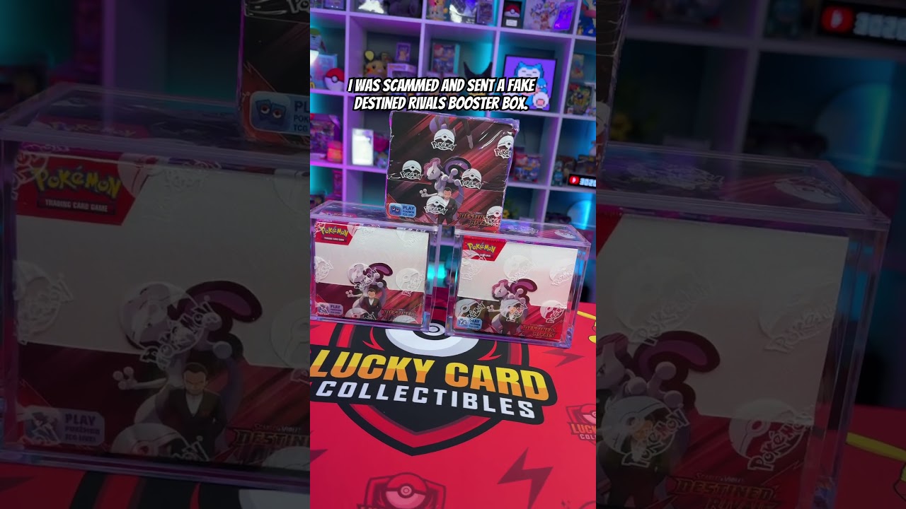 Should we go live and open this fake booster box? #pokemon #pokemoncards #pokemontcg