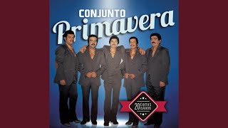 Video thumbnail of "Conjunto Primavera - La Cumbia Francesa"