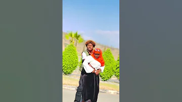 New Ethiopian TikTok Ethiopia Oromo Shorts 