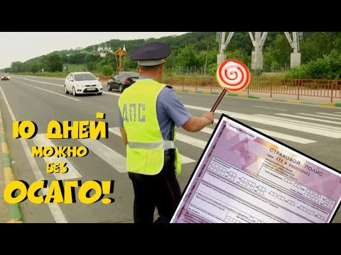 Можно ли ездить без полиса ОСАГО? МОЖНО!!! - 10 дней после покупки авто. ClinliCar автоподбор СПб.