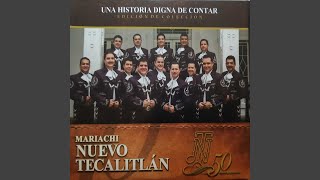 Video thumbnail of "Mariachi Nuevo Tecalitlán - Piano"