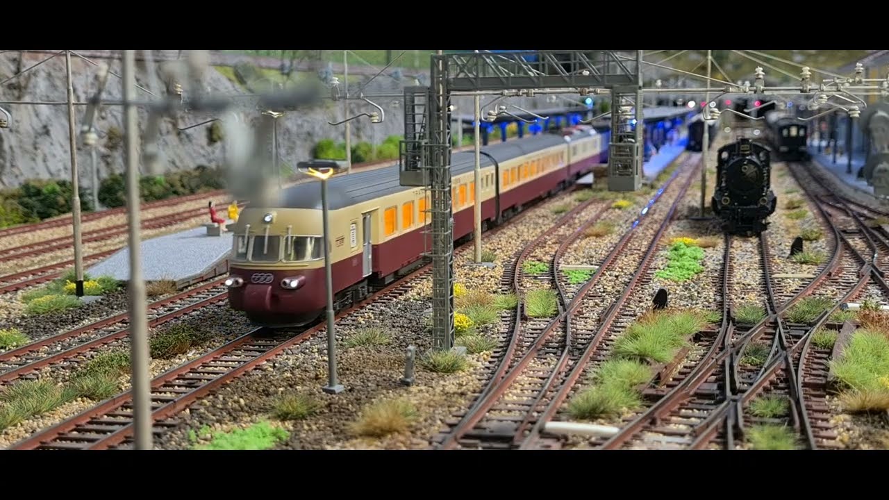 TPI 2025 n°06 - ELLA C. le  al Confine Svizzero di Nino Fasanella