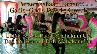 Persembahan Tarian Dari Gadis-Gadis Dayak Kenyah Untuk Bupati Mahakam Ulu || Datah Bilang Ilir