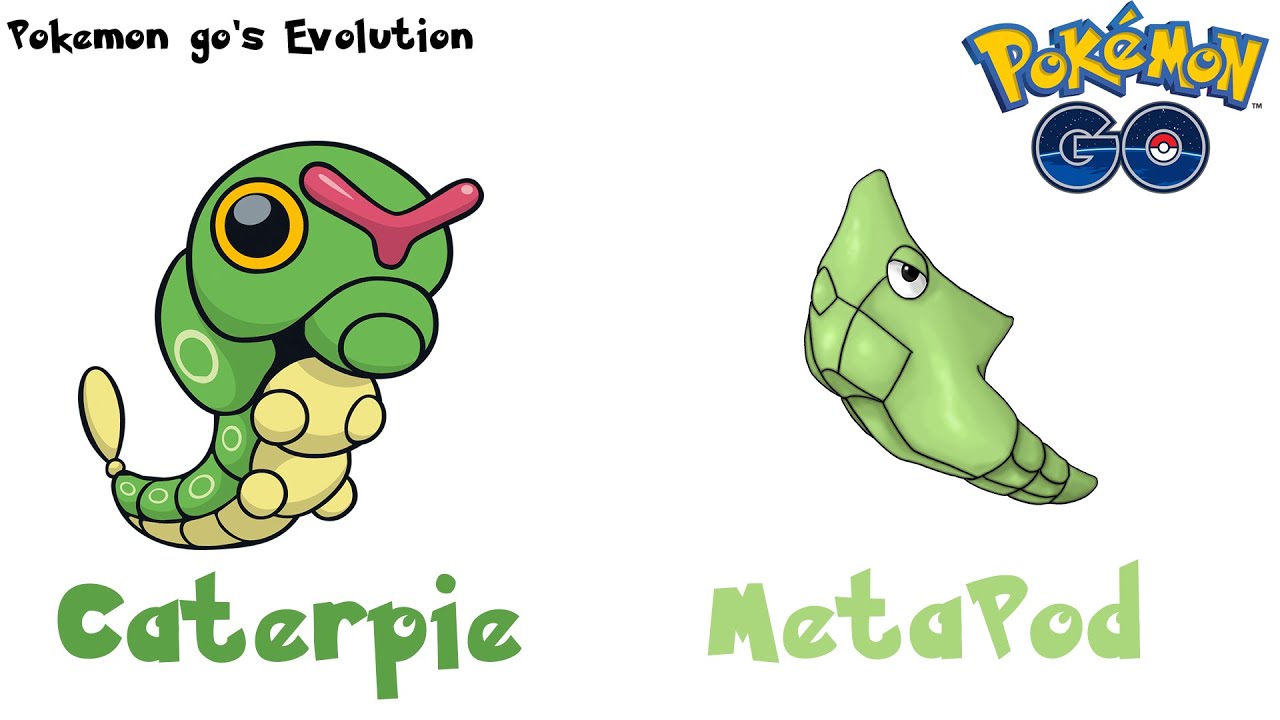 Caterpie Evolution Chart Clipart Images Gallery For Free.