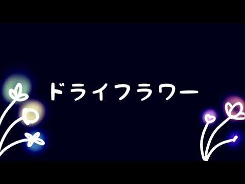 【ショタボが】ドライフラワー【歌ってみた！】