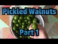 Making Pickled Walnuts - Part 1 - Picking, Pricking, Brining