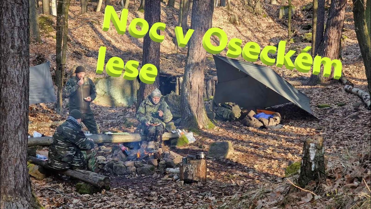 Noc v Oseckém lese