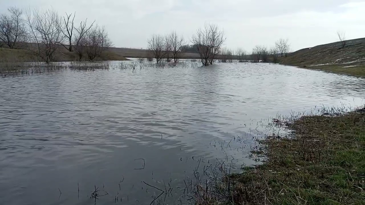 02.03.26 Прийшла  Весна   ставок в селі В.Божедарівка  