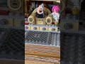 Boba Fett’s Throne Room Review Mishap