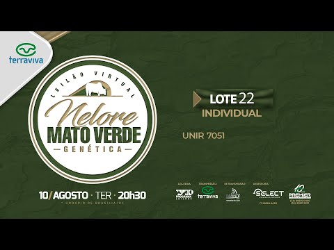 LOTE 22