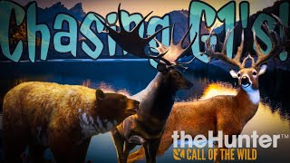 Whitetail & Black Bear grinding! Let's get these Great Ones! | theHunter: Call of the Wild