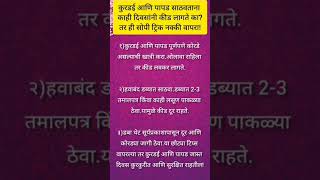 कुरडई आणि पापड साठवताना कीड लागू नये? करा ही सोपी ट्रिक! 😲 #kitchentips