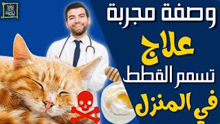 علاج تسمم القطط في البيت: علامات التسمم في القطط