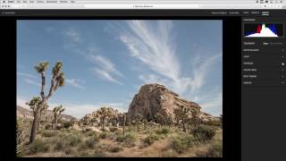 Making Color and Tonal Edits to Photographs in Lightroom Web | Adobe Lightroom