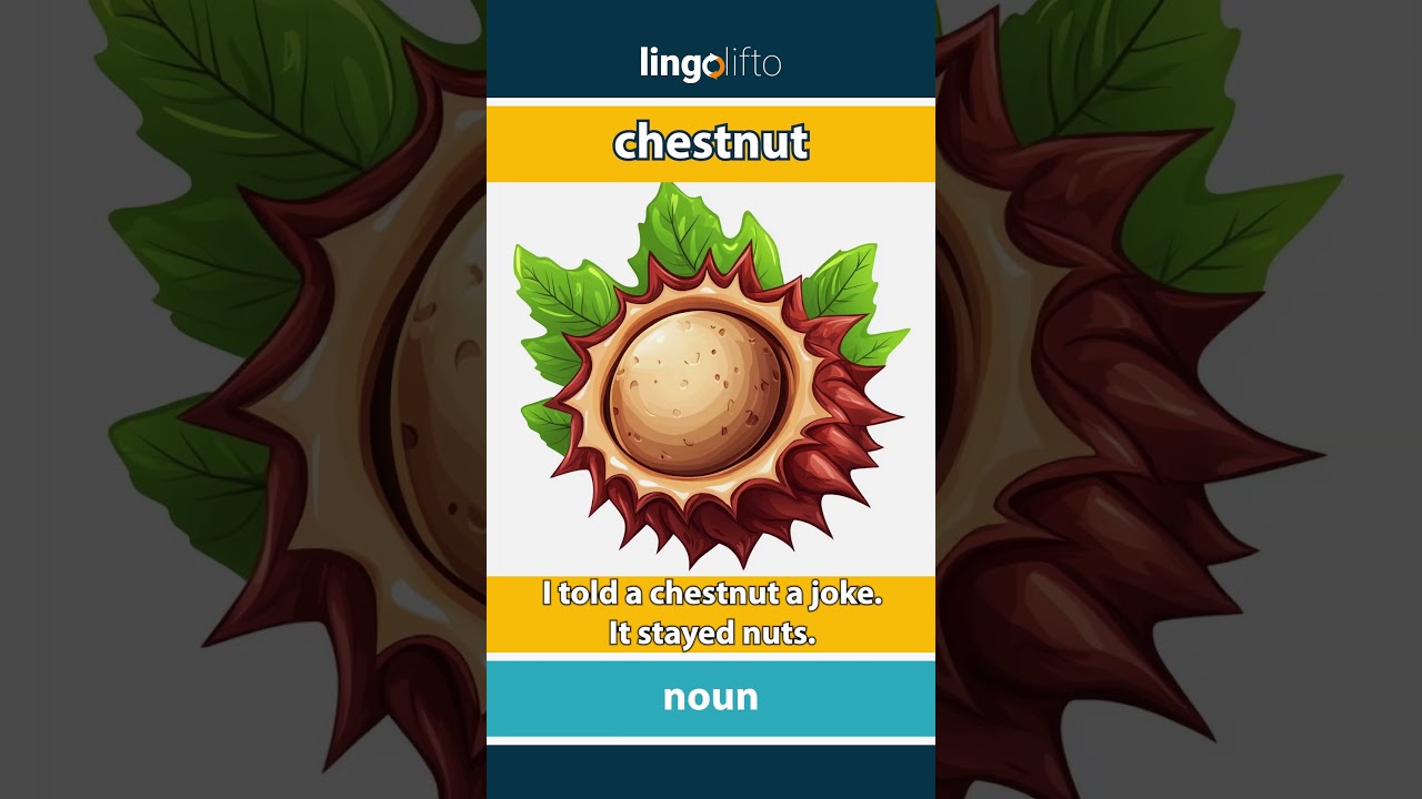 🇬🇧 Chestnut Meaning : Flash Card : Learn English Vocabulary
