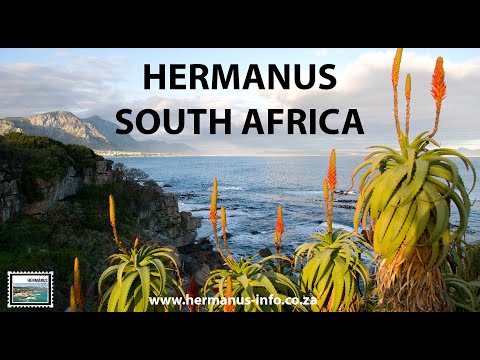 Hermanus - South Africa