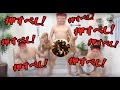 まるごし刑事２予告 いよいよ明日公開！