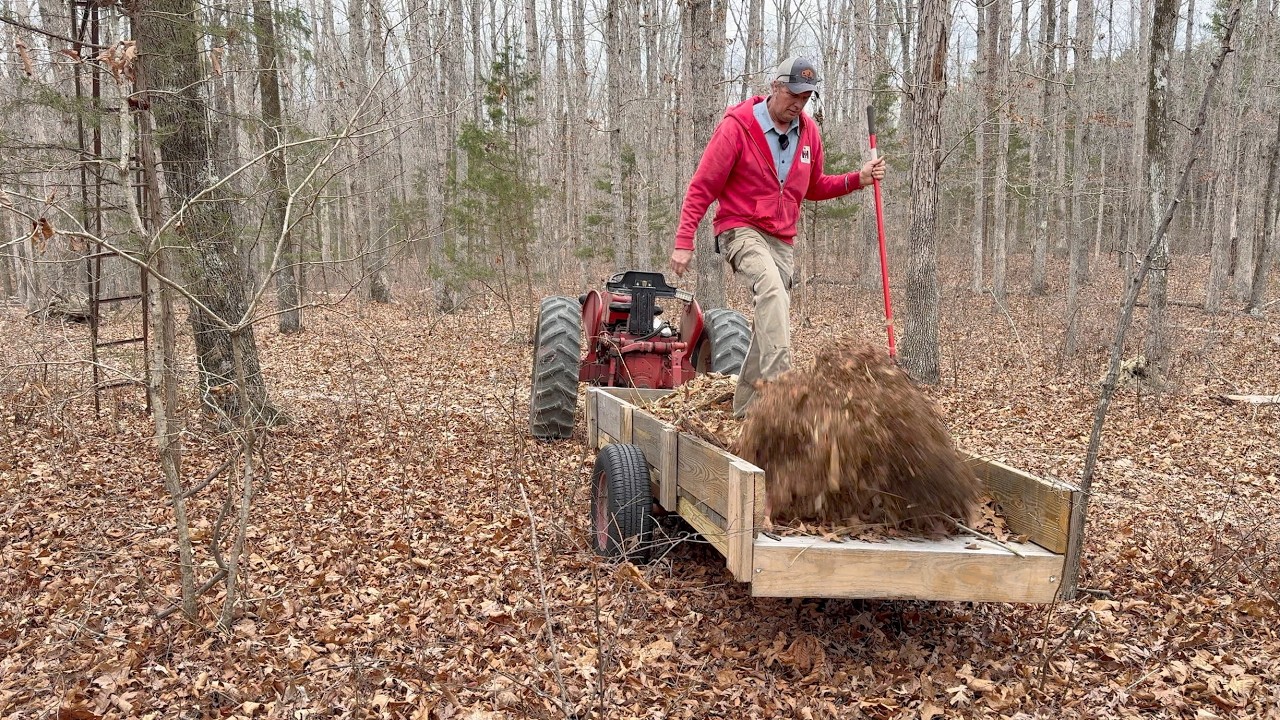 Снова в деле!