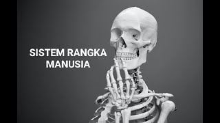 Sistem Rangka Manusia SMA Kelas 11 IPA