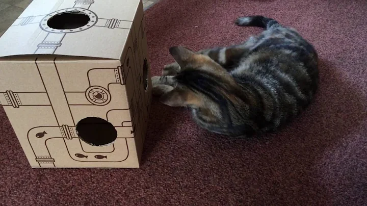 Thelma enjoying Flower Fountain packaging box